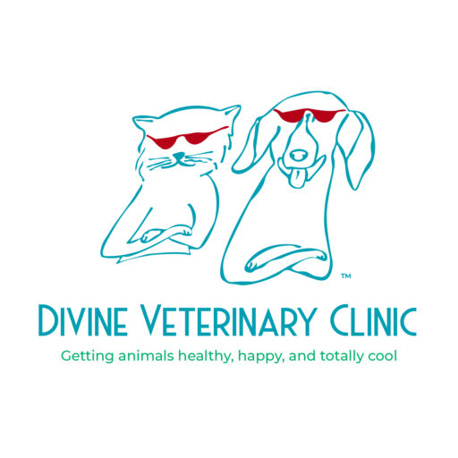cropped Divine Veterinary Clinic Logo
