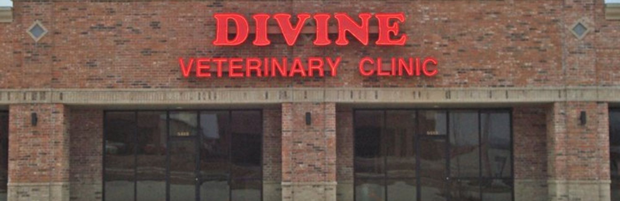 Ozark, MO Veterinary Careers Divine Veterinary Clinic