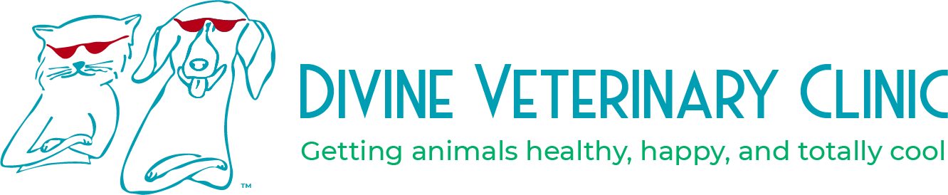 Divine Veterinary Clinic logo