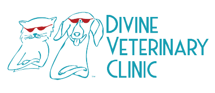 Divine Veterinary Clinic logo